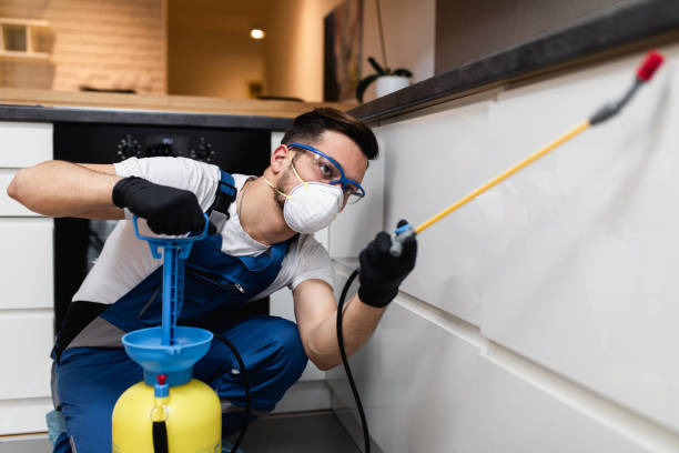 Professional Pest Control in Seven Mile, AZ