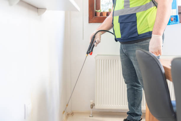 Best Cockroach Control Services  in Seven Mile, AZ