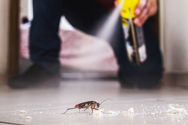 Best Pest Control for Restaurants  in Seven Mile, AZ