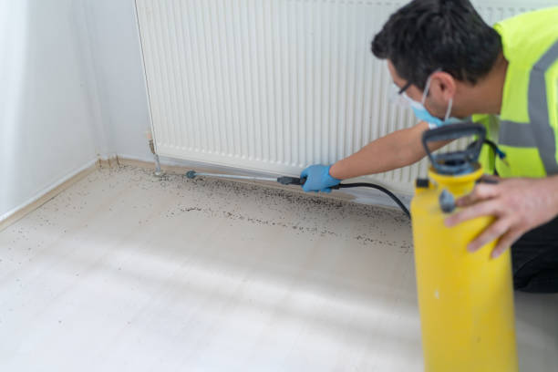 Best Pest Control Near Me  in Seven Mile, AZ